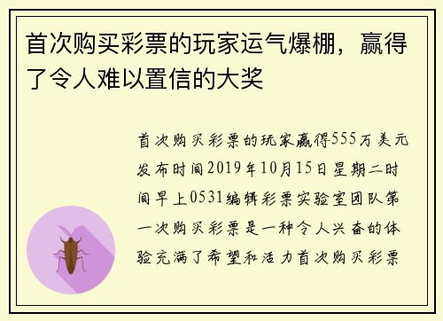 首次购买彩票的玩家运气爆棚，赢得了令人难以置信的大奖